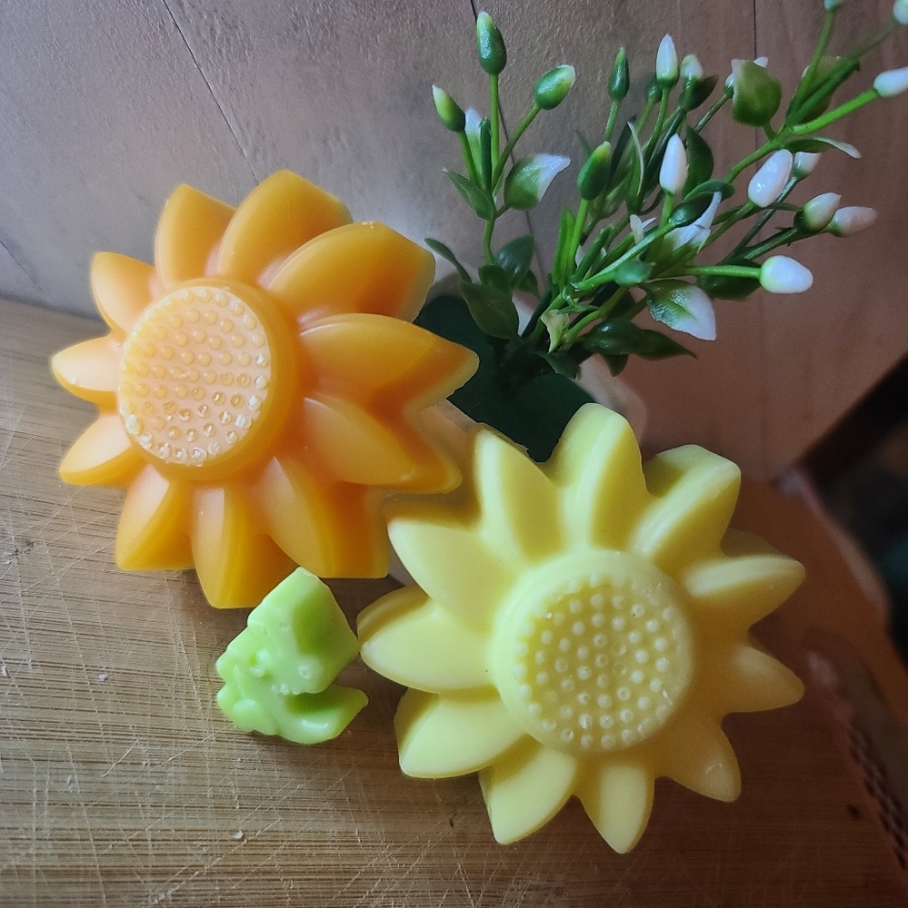Fun wax melts